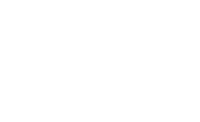 Big Wedding
